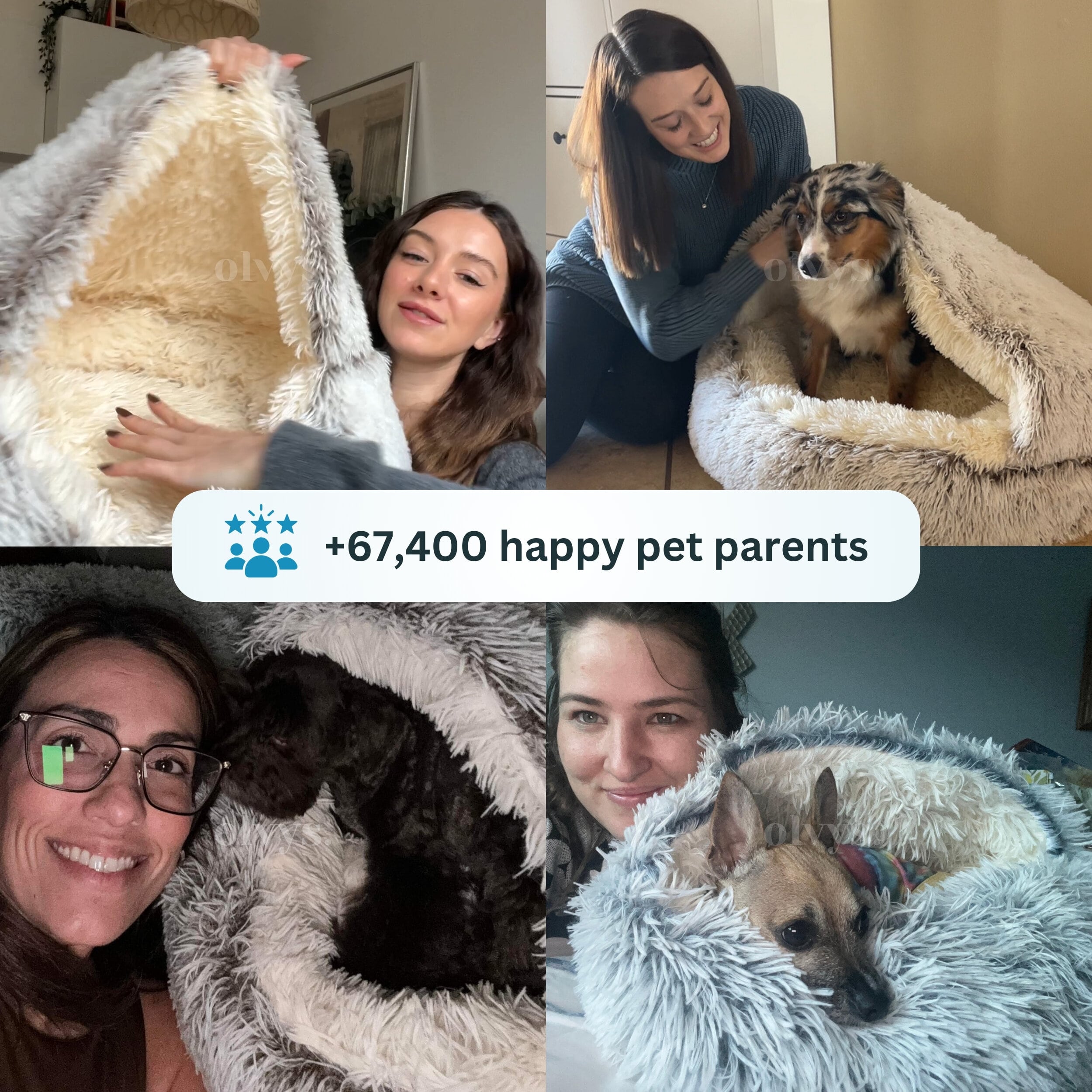 cozy cocoon - pet bed