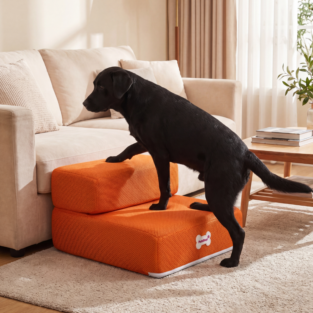 Plush Dog Stairs 2-Step Ramp for Couch and Bed Access