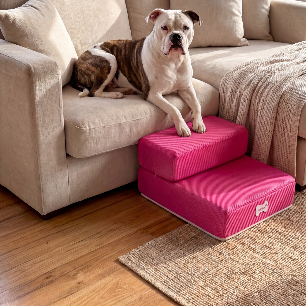 Plush Dog Stairs 2-Step Ramp for Couch and Bed Access