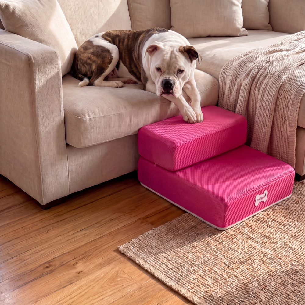 Plush Dog Stairs 2-Step Ramp for Couch and Bed Access