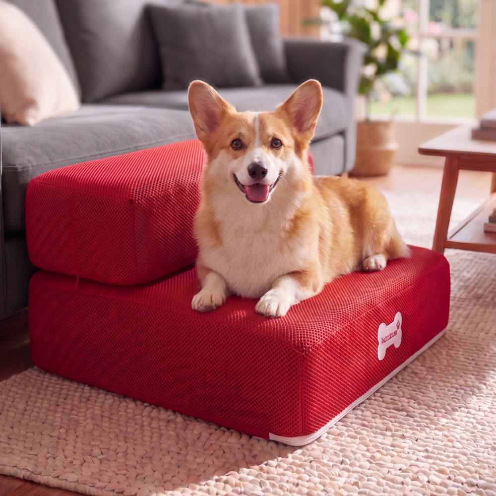 Plush Dog Stairs 2-Step Ramp for Couch and Bed Access