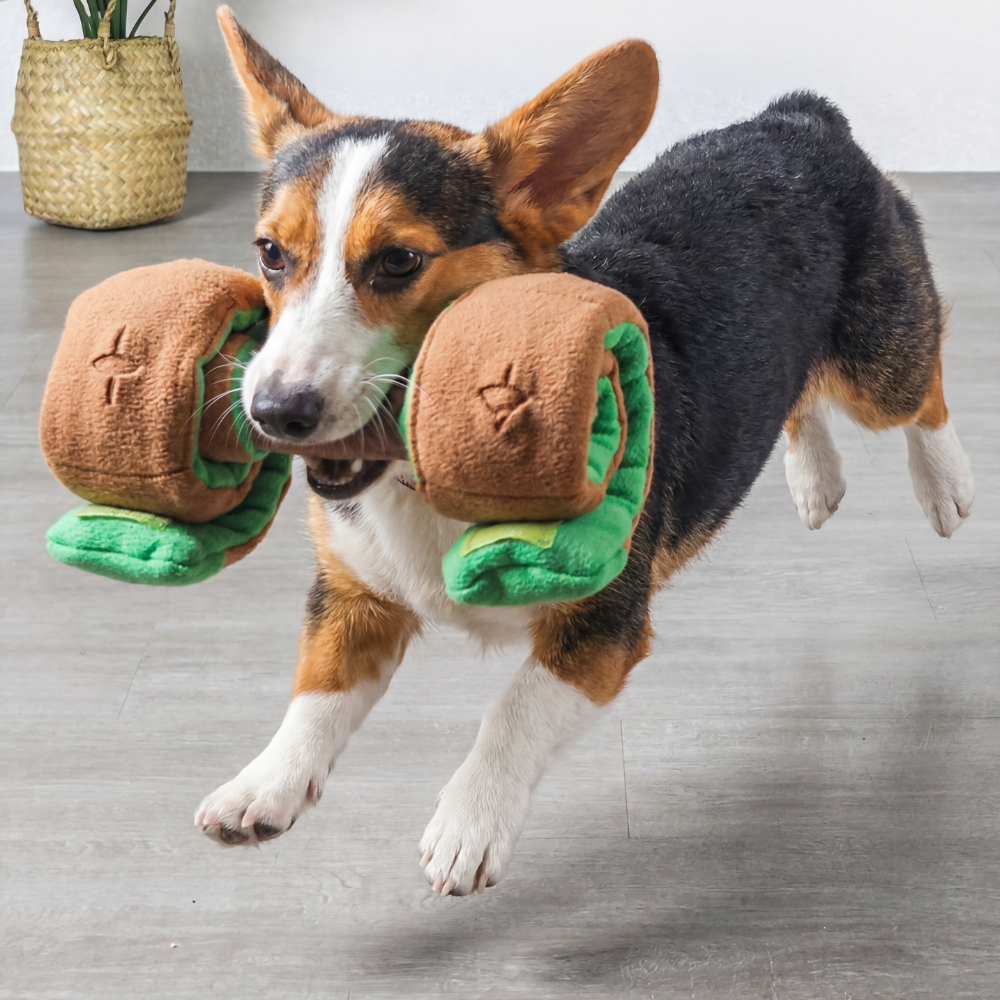 Dog Treat Puzzle Toy for Play