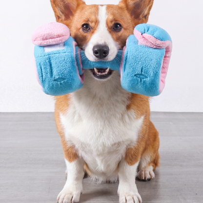 Dog Treat Puzzle Toy for Play