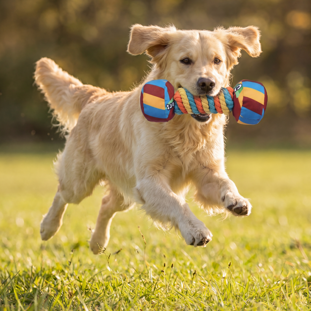 Squeaky Rope Dumbbell Dog Toy For Interactive Play