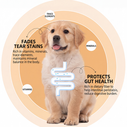 DogFood Nutrition Delicious