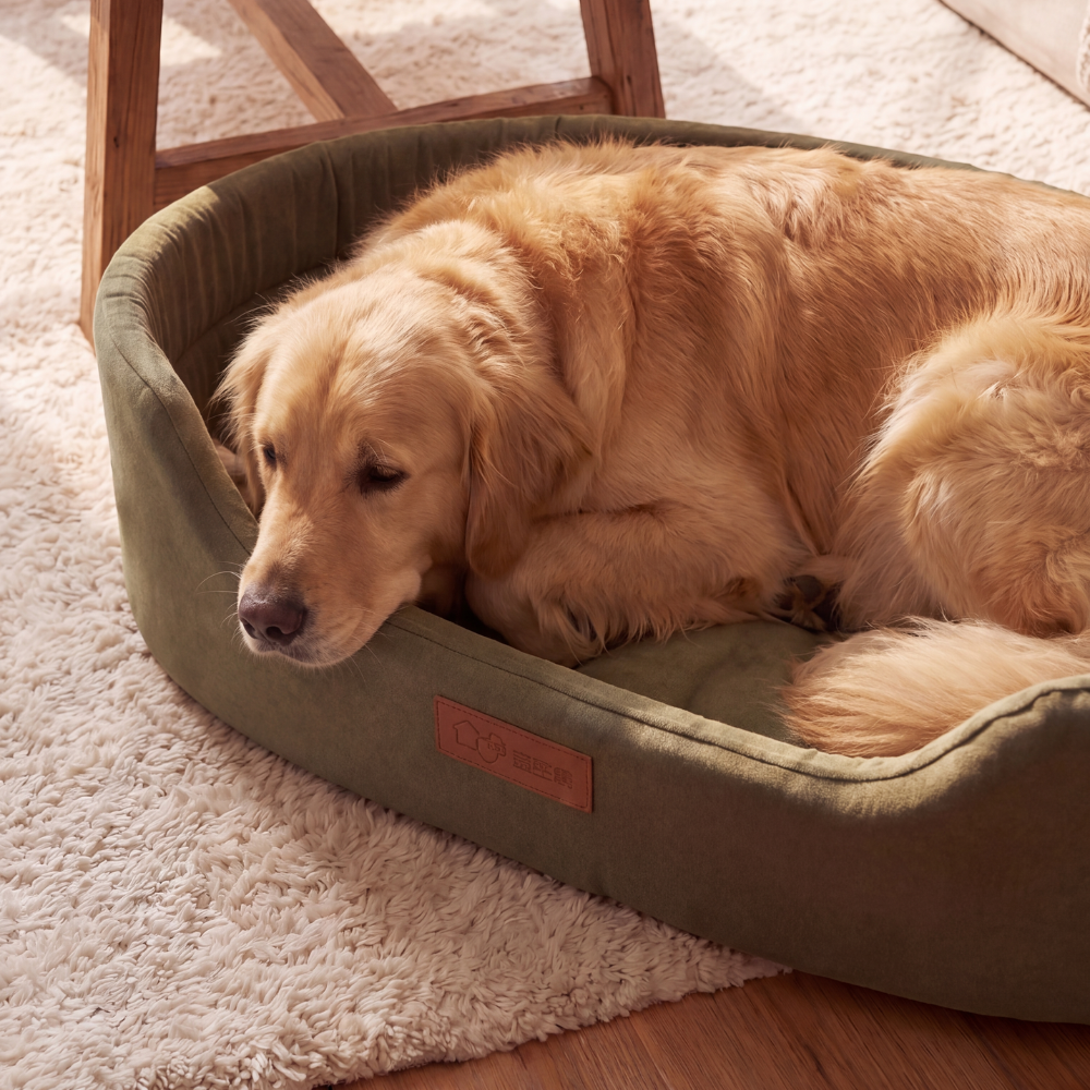 Detachable Oval Dog & Cat Bed – Calming, Non-Slip Base