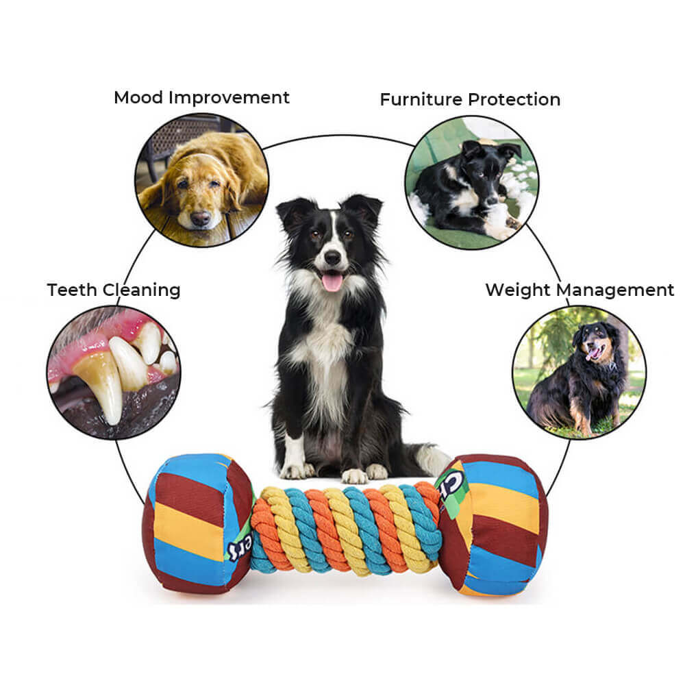 Squeaky Rope Dumbbell Dog Toy For Interactive Play