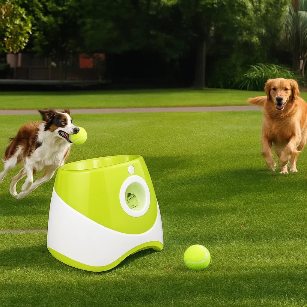 Automatic Dog Ball Launcher for Dogs – Continuous Fetch Fun